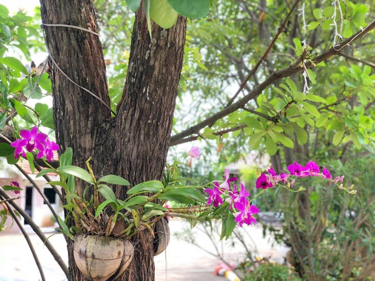 Soda Resort Kamphaeng Phet Bagian luar foto